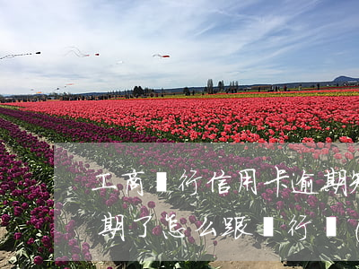 工商銀行信用卡逾期知乎(工商銀行信用卡逾期了怎么跟銀行協(xié)商解決)