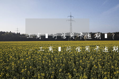 工商銀行信用卡逾期網(wǎng)上申訴-工商銀行信用卡逾期網(wǎng)上申訴有用嗎