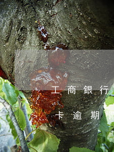 工商銀行信用卡逾期罰金多少(工商銀行信用卡逾期罰金多少錢)