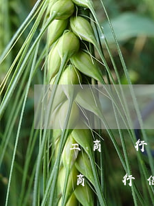 工商銀行信用卡逾期被凍結(jié)6 工商銀行信用卡逾期被凍結(jié)了還能解凍嗎