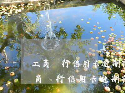 工商銀行信用卡逾期被凍結(jié)了(工商銀行信用卡逾期被凍結(jié)了怎么解凍)