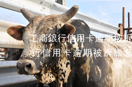 工商銀行信用卡逾期被訴訟怎么辦-工商銀行信用卡逾期被訴訟怎么辦呢