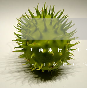 工商銀行信用卡逾期被起訴立案后怎么解決-工商銀行信用卡 起訴