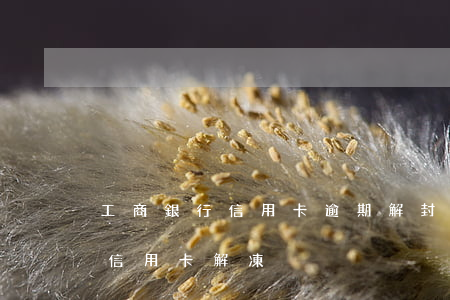 工商銀行信用卡逾期解封-工行逾期90天信用卡解凍