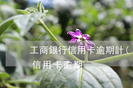 工商銀行信用卡逾期計(jì)算器(怎么算信用卡逾期)