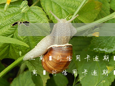 工商銀行信用卡逾期費(fèi)怎么算(工商銀行信用卡逾期費(fèi)怎么算)