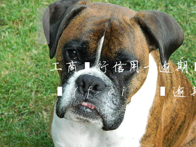 工商銀行信用卡逾期費(fèi)悶(工行消費(fèi)貸逾期一天)