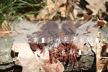 工商銀行信用卡逾期費(fèi)率(工商銀行信用卡逾期費(fèi)率)