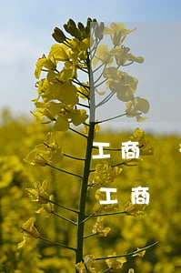 工商銀行信用卡逾期賬戶凍結(jié)-工商銀行信用卡逾期賬戶凍結(jié)了
