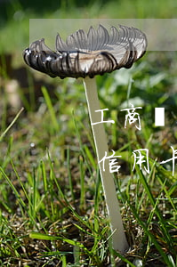 工商銀行信用卡逾期起訴的多嗎-工商銀行信用卡逾期起訴的多嗎