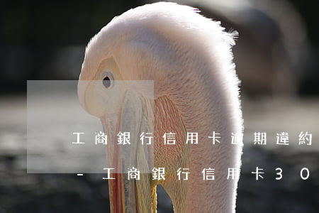 工商銀行信用卡逾期違約金利息可以減免嗎-工商銀行信用卡3000逾期一年違約金太高