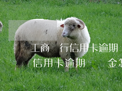工商銀行信用卡逾期違約金怎么算(工商銀行信用卡逾期違約金怎么算利息)
