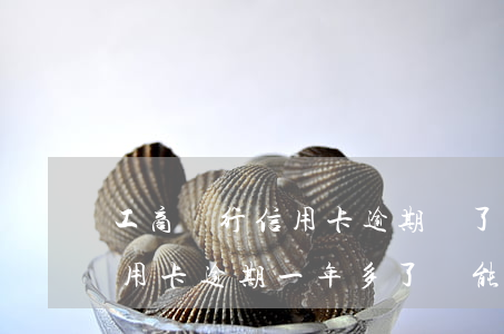 工商銀行信用卡逾期還了全款(工商銀行的信用卡逾期一年多了還能協(xié)商分期還款嗎)