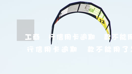 工商銀行信用卡逾期還款不能用了-工商銀行信用卡逾期還款不能用了怎么辦