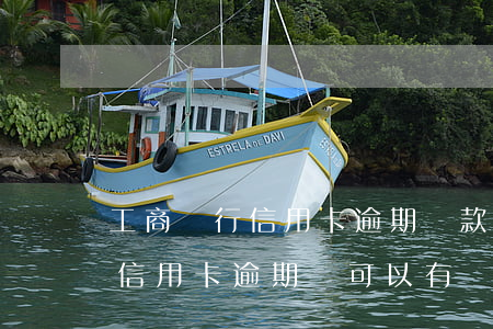 工商銀行信用卡逾期還款減免步驟-為什么信用卡逾期還可以有減免