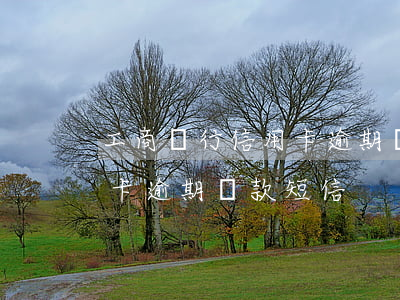 工商銀行信用卡逾期還款短信(工商銀行信用卡逾期還款短信)