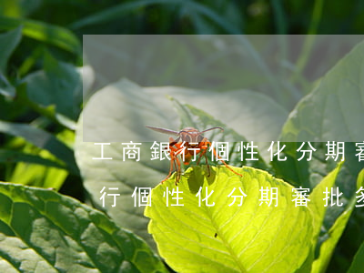 工商銀行個性化分期審批多長時間-工商銀行個性化分期審批多長時間下來