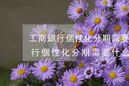工商銀行個性化分期需要什么材料-工商銀行個性化分期需要什么材料和手續(xù)