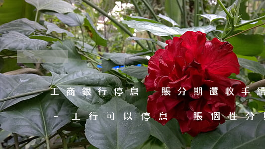 工商銀行停息掛賬分期還收手續(xù)費?-工行可以停息掛賬個性分期嗎