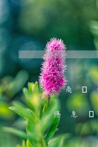 工商銀行停息掛賬多少期(哪些銀行可以申請停息掛賬)