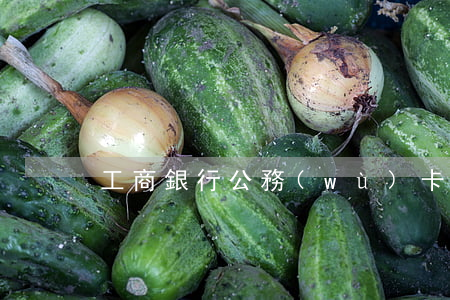 工商銀行公務(wù)卡逾期一天怎么辦-
