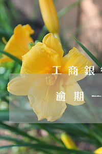 工商銀行公積金不小心逾期一天(住房公積金逾期一天怎么還款)