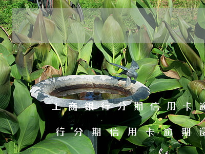 工商銀行分期信用卡逾期還款后果-工商銀行分期信用卡逾期還款后果是什么