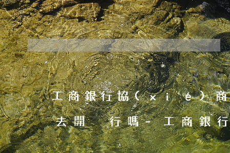 工商銀行協(xié)商個性化分期一定要去開戶行嗎-工商銀行協(xié)商個性化分期一定要去開戶行嗎