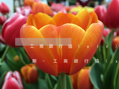 工商銀行協(xié)商停息掛賬可以分幾期-工商銀行協(xié)商還款最長多少期
