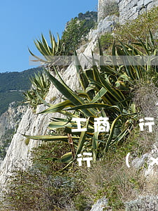 工商銀行協(xié)商還款多久-工商銀行協(xié)商還款多久才有結(jié)果