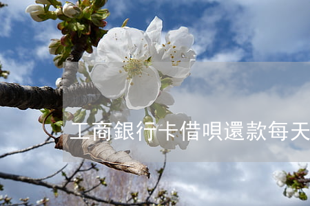 工商銀行卡借唄還款每天是多少-