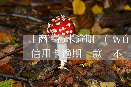 工商銀行卡逾期無(wú)法還款(工商銀行信用卡逾期還款還不進(jìn)去怎么辦)