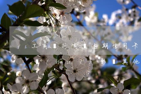 工商銀行商貸逾期信用卡嗎(工商銀行逾期了會(huì)影響其他的信用卡嗎)