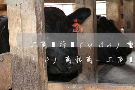 工商銀行嚴(yán)重逾期后怎么協(xié)商招商-工商銀行嚴(yán)重逾期后怎么協(xié)商招商銀行