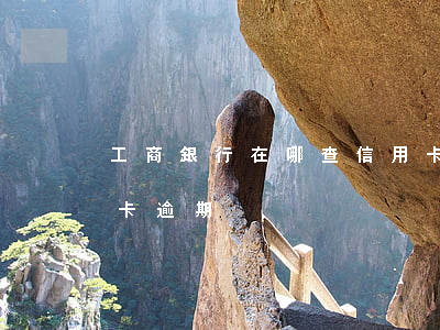 工商銀行在哪查信用卡逾期(哪里可以查信用卡逾期)
