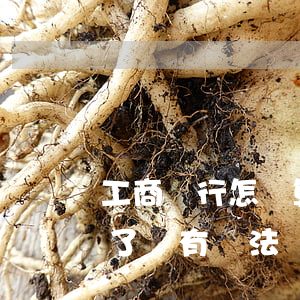 工商銀行怎樣算逾期還款(工商銀行貸款逾期了還有辦法補救嗎?)