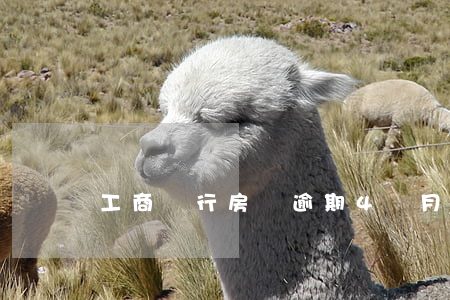 工商銀行房貸逾期4個月(工商房貸逾期一天)