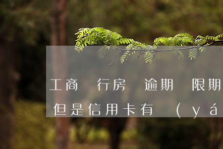 工商銀行房貸逾期寬限期(工商銀行辦理房貸但是信用卡有嚴(yán)重的逾期)