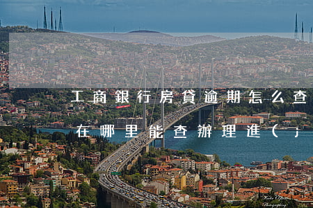 工商銀行房貸逾期怎么查(辦理工商銀行房貸在哪里能查辦理進(jìn)度)