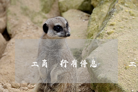 工商銀行有停息掛賬嗎(工行可以停息掛賬嗎)