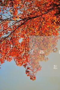 工商銀行有逾期記錄怎么辦(工商銀行有逾期記錄怎么辦信用卡)