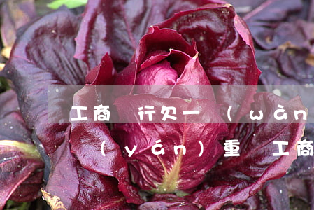 工商銀行欠一萬(wàn)多被起訴了后果嚴(yán)重嗎（工商銀行逾期2萬(wàn)會(huì)起訴嗎）