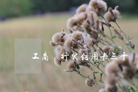 工商銀行欠信用卡三千