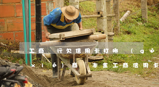 工商銀行欠信用卡打哪個(gè)電話協(xié)商還本金（工商信用卡協(xié)商號碼）