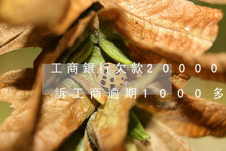 工商銀行欠款20000逾期3個月 司法起訴（工商逾期1000多久起訴）