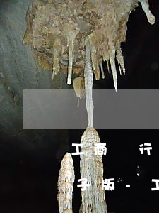 工商銀行異議申請(qǐng)消除逾期電子版-工行征信異議申請(qǐng)成功多久更新