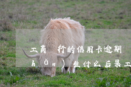 工商銀行的信用卡逾期會(huì)產(chǎn)生什么后果（工行信用卡逾期卡號(hào)扣錢）