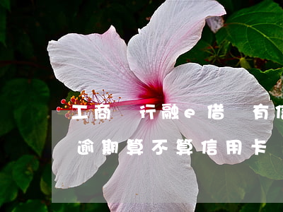 工商銀行融e借沒有信用卡（工商銀行融e借逾期算不算信用卡）