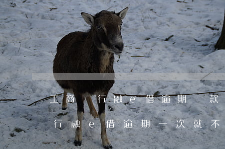 工商銀行融e借逾期還款交易失敗-工商銀行融e借逾期一次就不能再借出了嗎