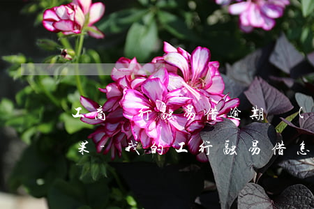 工商銀行融易借逾期會(huì)有什么后果-我的工行融易借怎么突然沒(méi)有了